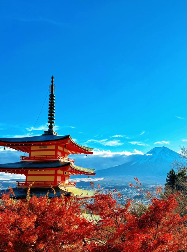 2025東京紅葉預測。圖片來源：fujiyama-navi.jp、sotoasobi、jalan.net、muragon、yamahack、renstablog、discovernippon、jorudan、紫櫻的天空@小紅書、我是夏涼@小紅書、六食@小紅書、金英學@小紅書、ATM.24@小紅書、Mio@小紅書、懶人鞋的吃喝玩樂@小紅書、熹愉徐@小紅書、啾醬_@小紅書、不辣的皮特@小紅書