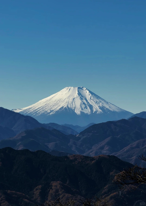 2025東京紅葉預測。圖片來源：fujiyama-navi.jp、sotoasobi、jalan.net、muragon、yamahack、renstablog、discovernippon、jorudan、紫櫻的天空@小紅書、我是夏涼@小紅書、六食@小紅書、金英學@小紅書、ATM.24@小紅書、Mio@小紅書、懶人鞋的吃喝玩樂@小紅書、熹愉徐@小紅書、啾醬_@小紅書、不辣的皮特@小紅書