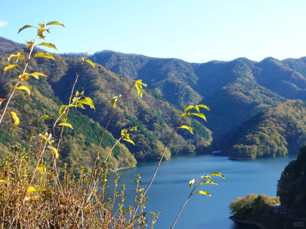 2025東京紅葉預測。圖片來源：fujiyama-navi.jp、sotoasobi、jalan.net、muragon、yamahack、renstablog、discovernippon、jorudan、紫櫻的天空@小紅書、我是夏涼@小紅書、六食@小紅書、金英學@小紅書、ATM.24@小紅書、Mio@小紅書、懶人鞋的吃喝玩樂@小紅書、熹愉徐@小紅書、啾醬_@小紅書、不辣的皮特@小紅書