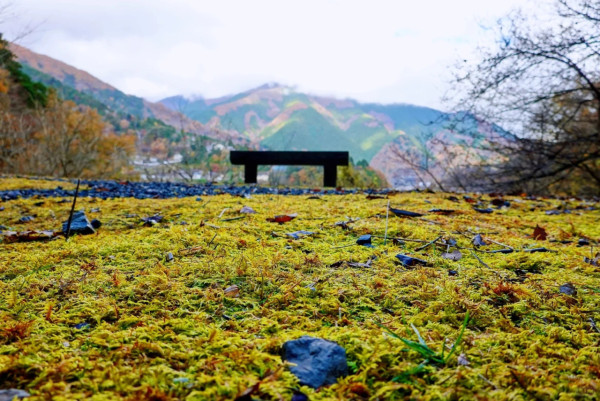 2025東京紅葉預測。圖片來源：fujiyama-navi.jp、sotoasobi、jalan.net、muragon、yamahack、renstablog、discovernippon、jorudan、紫櫻的天空@小紅書、我是夏涼@小紅書、六食@小紅書、金英學@小紅書、ATM.24@小紅書、Mio@小紅書、懶人鞋的吃喝玩樂@小紅書、熹愉徐@小紅書、啾醬_@小紅書、不辣的皮特@小紅書