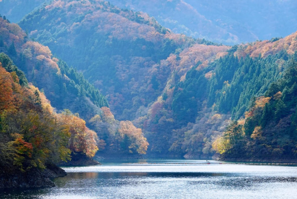 2025東京紅葉預測。圖片來源：fujiyama-navi.jp、sotoasobi、jalan.net、muragon、yamahack、renstablog、discovernippon、jorudan、紫櫻的天空@小紅書、我是夏涼@小紅書、六食@小紅書、金英學@小紅書、ATM.24@小紅書、Mio@小紅書、懶人鞋的吃喝玩樂@小紅書、熹愉徐@小紅書、啾醬_@小紅書、不辣的皮特@小紅書