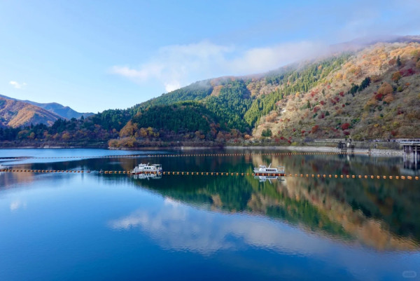 2025東京紅葉預測。圖片來源：fujiyama-navi.jp、sotoasobi、jalan.net、muragon、yamahack、renstablog、discovernippon、jorudan、紫櫻的天空@小紅書、我是夏涼@小紅書、六食@小紅書、金英學@小紅書、ATM.24@小紅書、Mio@小紅書、懶人鞋的吃喝玩樂@小紅書、熹愉徐@小紅書、啾醬_@小紅書、不辣的皮特@小紅書