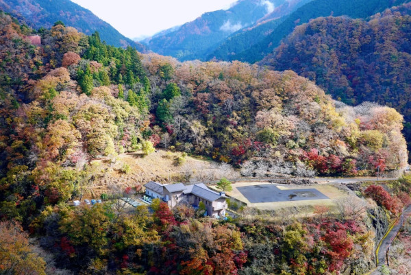 2025東京紅葉預測。圖片來源：fujiyama-navi.jp、sotoasobi、jalan.net、muragon、yamahack、renstablog、discovernippon、jorudan、紫櫻的天空@小紅書、我是夏涼@小紅書、六食@小紅書、金英學@小紅書、ATM.24@小紅書、Mio@小紅書、懶人鞋的吃喝玩樂@小紅書、熹愉徐@小紅書、啾醬_@小紅書、不辣的皮特@小紅書