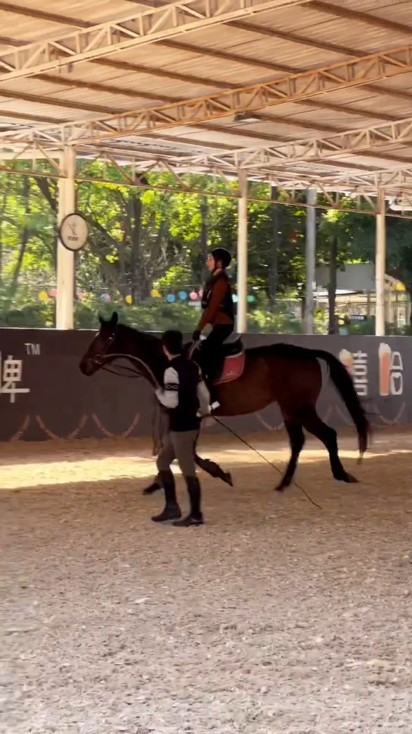 31歲前港姐冠軍低調躋身馬主行列 半億身家曝光豪擲千金合資購愛駒