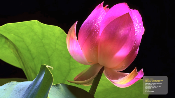 iPhone 17 Pro 鏡頭效果搶先看 8 倍光學變焦、48MP 三攝系統引領手機攝影新時代