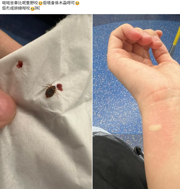（圖片來源︰FB@香港滅蟲關注組）