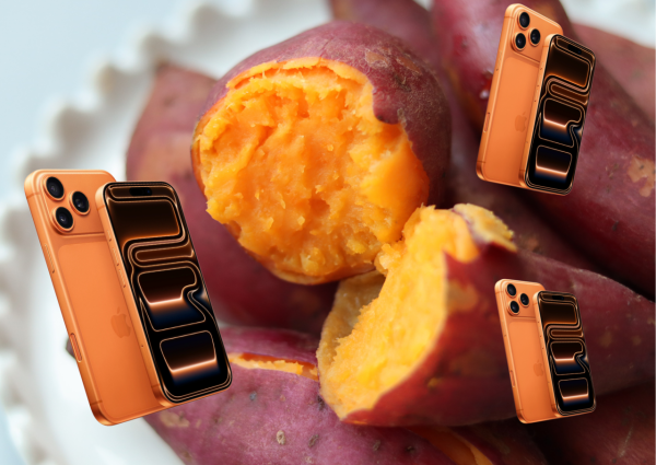 iPhone 17撞樣大快活橙?! 盤點新iPhone五大撞樣色  網民：唔該1部大快活橙 iPhone 17