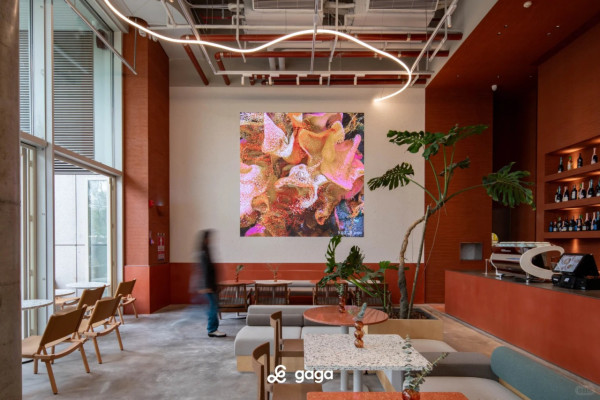 「深圳版M+」海上世界藝術中心