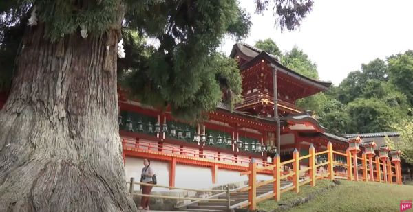 日本奈良春日大社慘遭塗鴉!木柱現簡體字「恩愛永遠」日警追查違者可囚