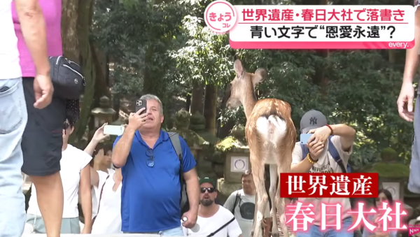 日本奈良春日大社慘遭塗鴉!木柱現簡體字「恩愛永遠」日警追查違者可囚