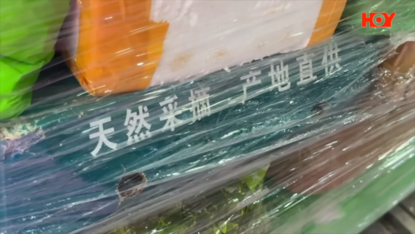 港人網購一物惹禍？直擊自提點衛生惡化慘變「垃圾崗」！員工爆料：每日都臭味熏天