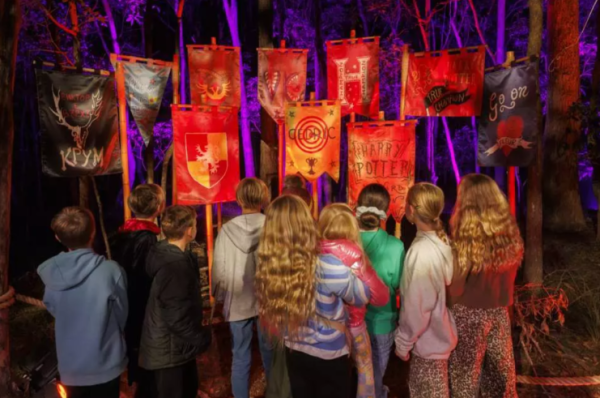 深圳哈利波特森林