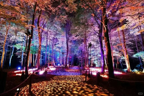 深圳哈利波特森林