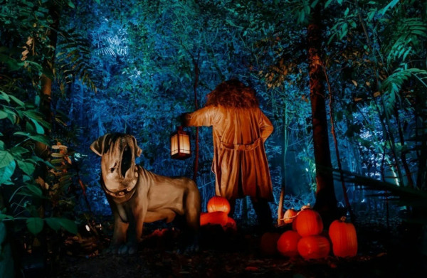 深圳哈利波特森林