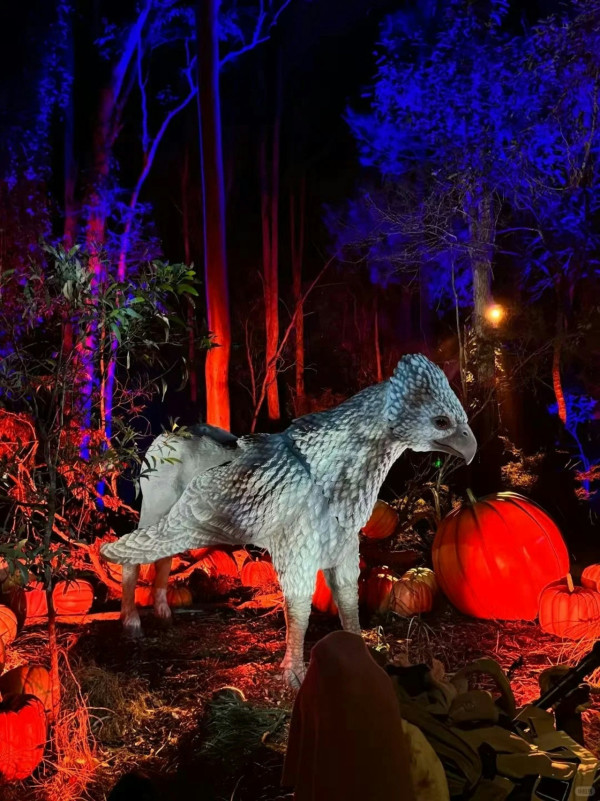 深圳哈利波特森林