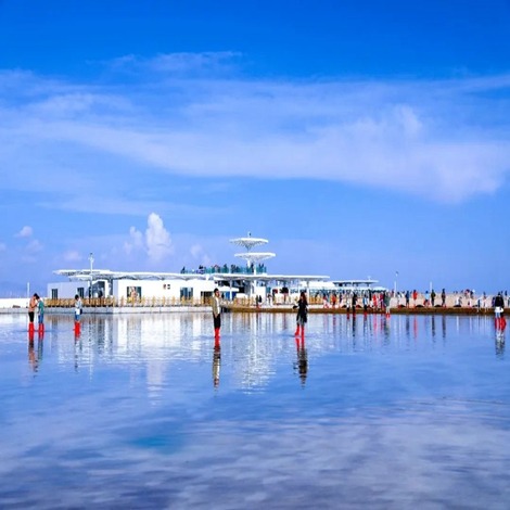 貪心遊客青海鹽湖偷鹽當手信