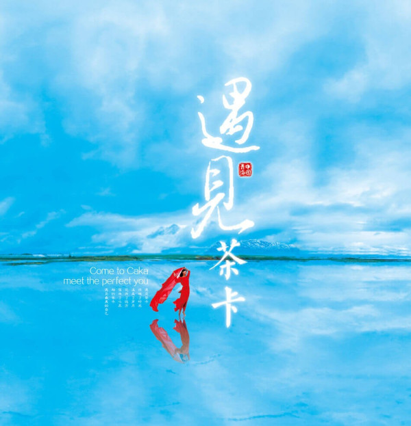 貪心遊客青海鹽湖偷鹽當手信