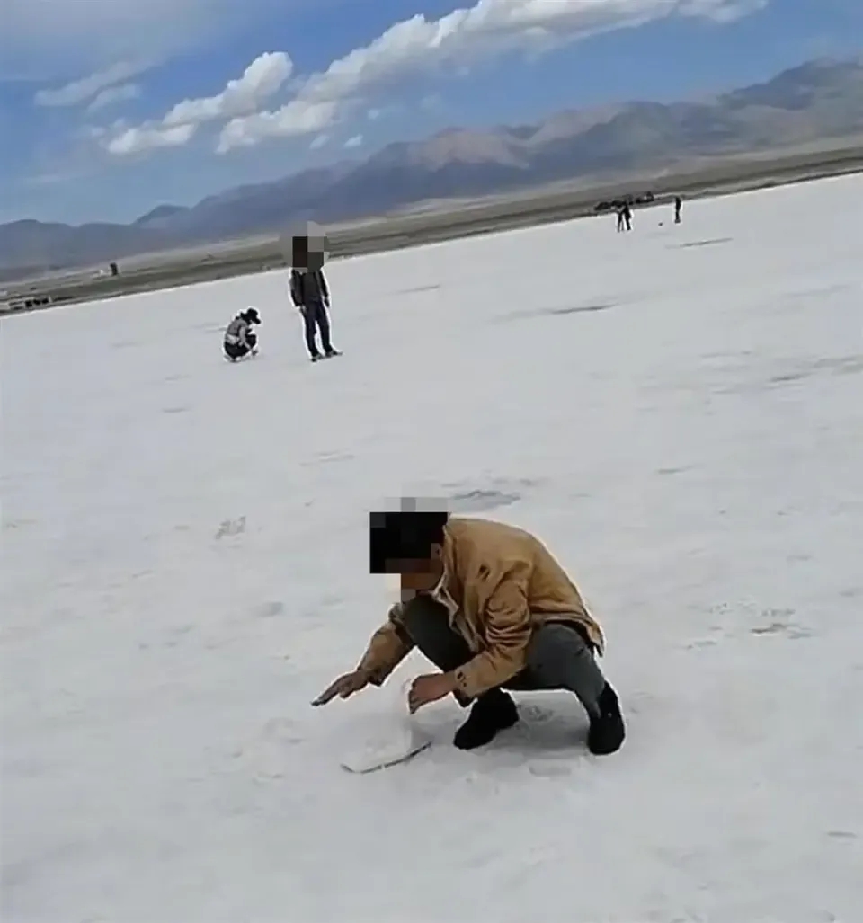 貪心遊客青海鹽湖偷鹽當手信