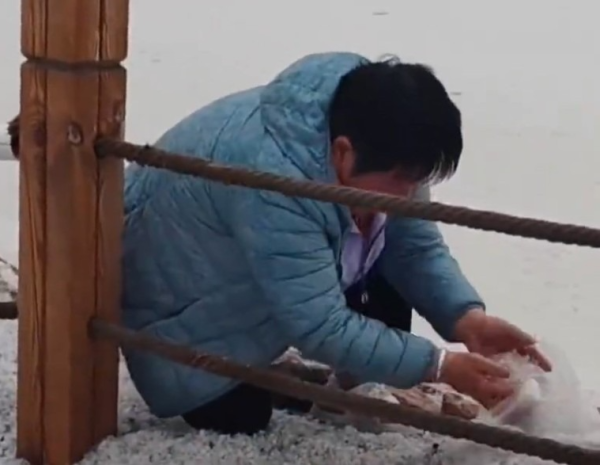 貪心遊客青海鹽湖偷鹽當手信