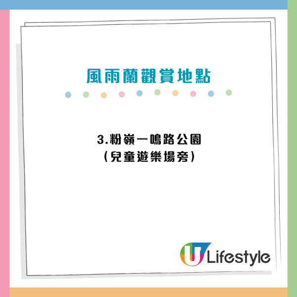 香港賞花2025｜風雨蘭花海盛放3大公園觀賞熱點！短暫花期錯過可惜
