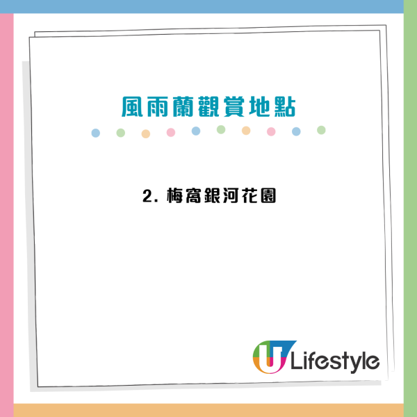 香港賞花2025｜風雨蘭花海盛放3大公園觀賞熱點！短暫花期錯過可惜