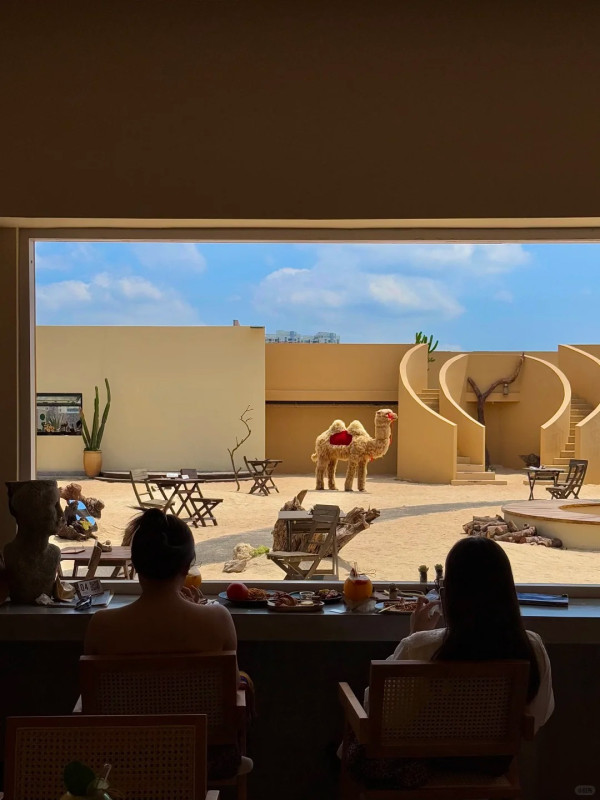 深圳沙漠風咖啡店1秒穿越摩洛哥！駱駝、沙地、日落夜景超夢幻 