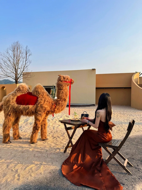 深圳沙漠風咖啡店1秒穿越摩洛哥！駱駝、沙地、日落夜景超夢幻 