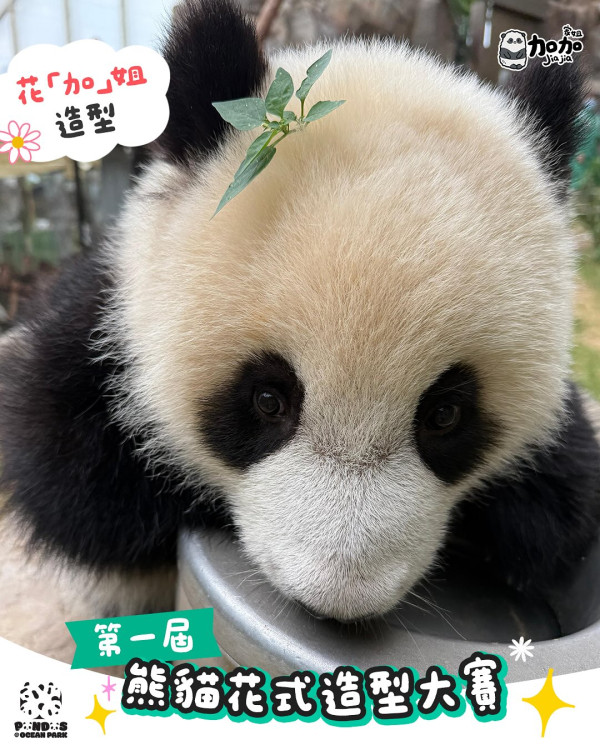 十一國慶｜港鐵免費送7.6萬張單程票！10.1免費搭電車/天星小輪！戲票半價/主題公園門票85折/過千間食肆優惠！