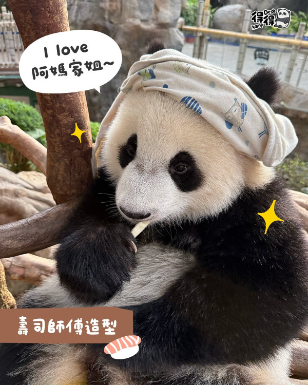 十一國慶｜港鐵免費送7.6萬張單程票！10.1免費搭電車/天星小輪！戲票半價/主題公園門票85折/過千間食肆優惠！