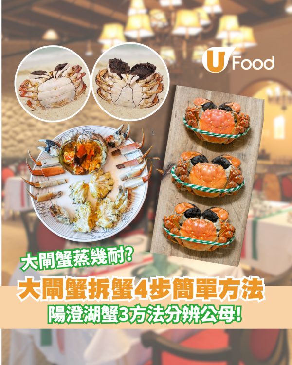 大閘蟹拆蟹4步簡單方法 大閘蟹蒸幾耐？陽澄湖蟹3方法分辨公母！