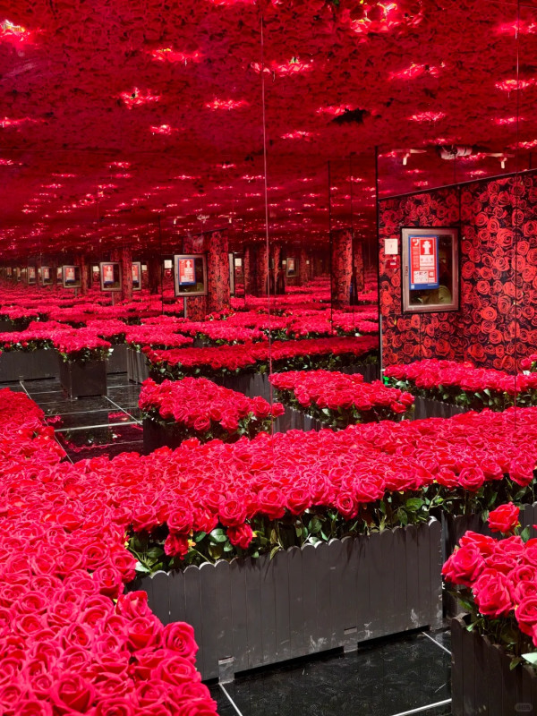 深圳東門沉浸式藝術展「再現大師」（圖片︰小紅書）