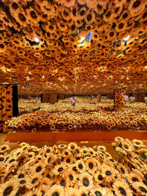 深圳東門沉浸式藝術展「再現大師」（圖片︰魚仔鏡頭裡的夏@小紅書）