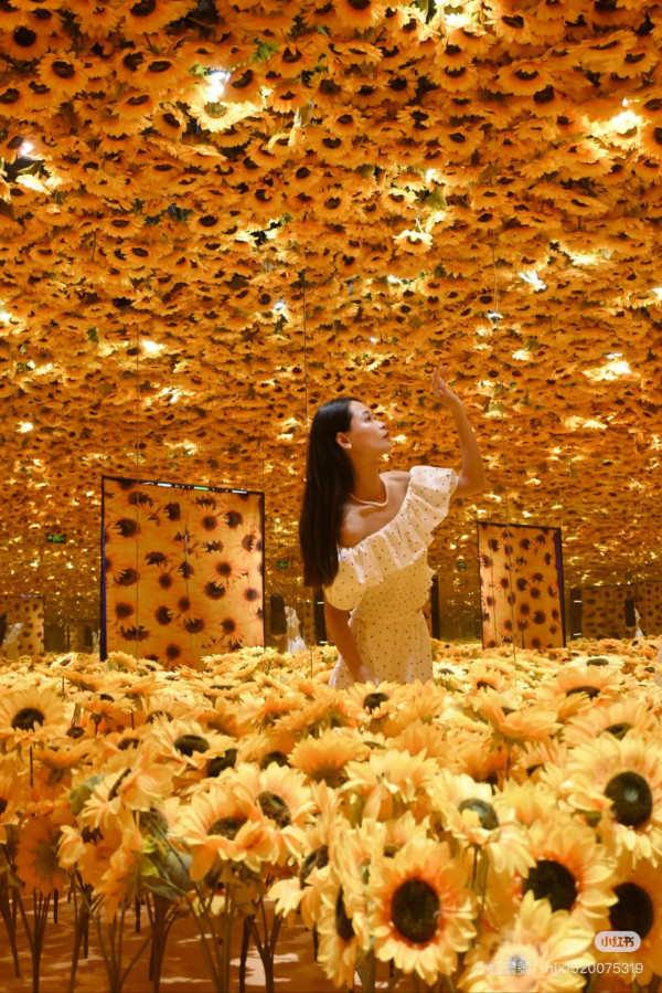 深圳東門沉浸式藝術展「再現大師」（圖片︰魚仔鏡頭裡的夏@風的日記）