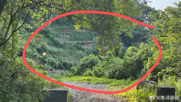 內地女踩中化骨水滲全身慘死 現場挖出氫氟酸 網購12元就買到 