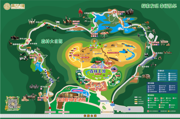 長隆森林大自駕。圖片來源：Kkday