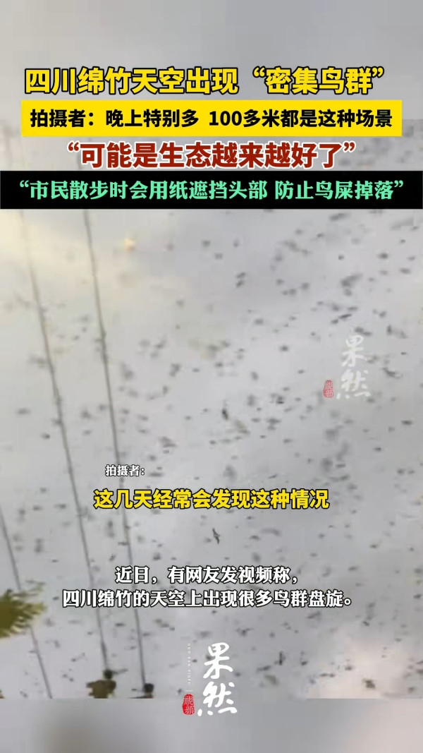 內地近月出現四大異象！詭異雲層、罕見大冰雹、青蛙大軍、萬鳥歸巢 