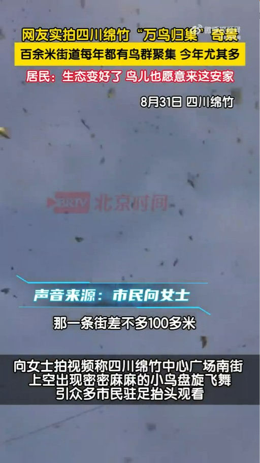 內地近月出現四大異象！詭異雲層、罕見大冰雹、青蛙大軍、萬鳥歸巢 