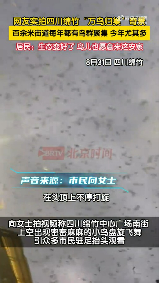 內地近月出現四大異象！詭異雲層、罕見大冰雹、青蛙大軍、萬鳥歸巢 