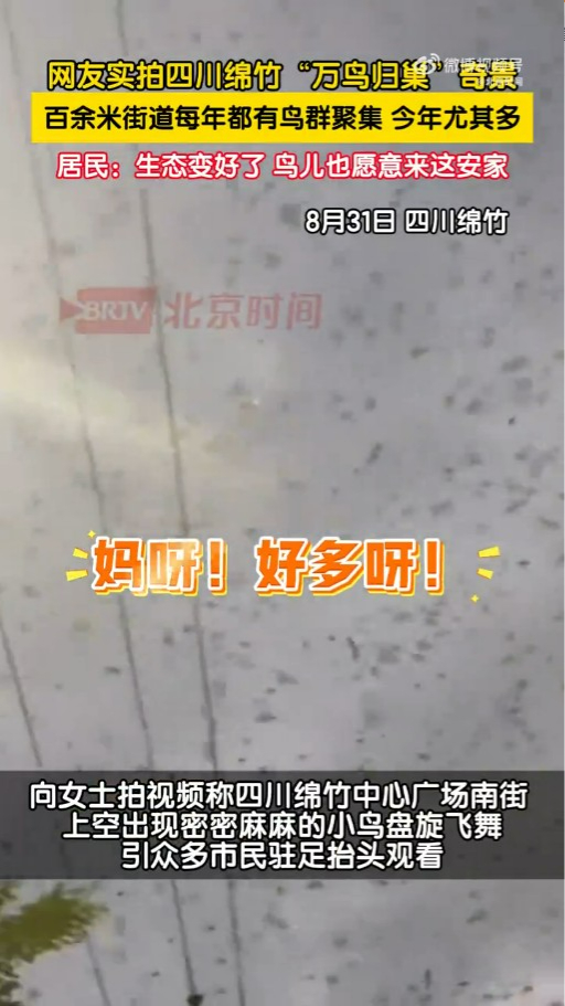 內地近月出現四大異象！詭異雲層、罕見大冰雹、青蛙大軍、萬鳥歸巢 