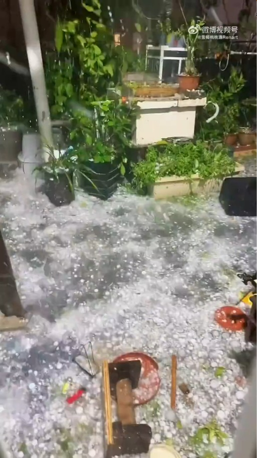 內地近月出現四大異象！詭異雲層、罕見大冰雹、青蛙大軍、萬鳥歸巢 