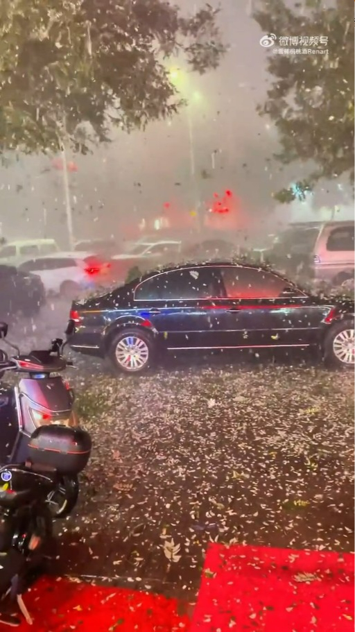 內地近月出現四大異象！詭異雲層、罕見大冰雹、青蛙大軍、萬鳥歸巢 