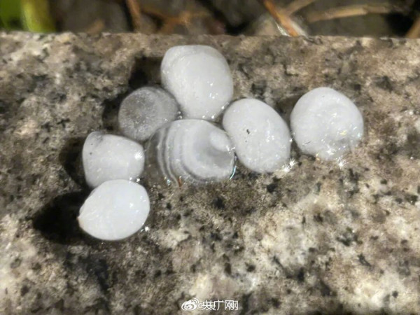 內地近月出現四大異象！詭異雲層、罕見大冰雹、青蛙大軍、萬鳥歸巢 