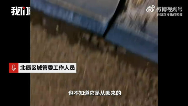 內地近月出現四大異象！詭異雲層、罕見大冰雹、青蛙大軍、萬鳥歸巢 