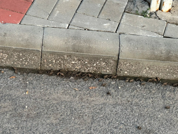 內地近月出現四大異象！詭異雲層、罕見大冰雹、青蛙大軍、萬鳥歸巢 