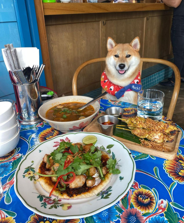 狗隻入食肆懶人包︱5.8起法例生效 3類食肆仍禁入＋狗主必讀3大守則（附寵物友善餐廳推介）