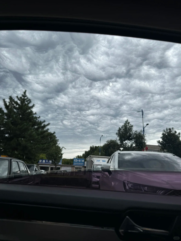 內地近月出現四大異象！詭異雲層、罕見大冰雹、青蛙大軍、萬鳥歸巢 