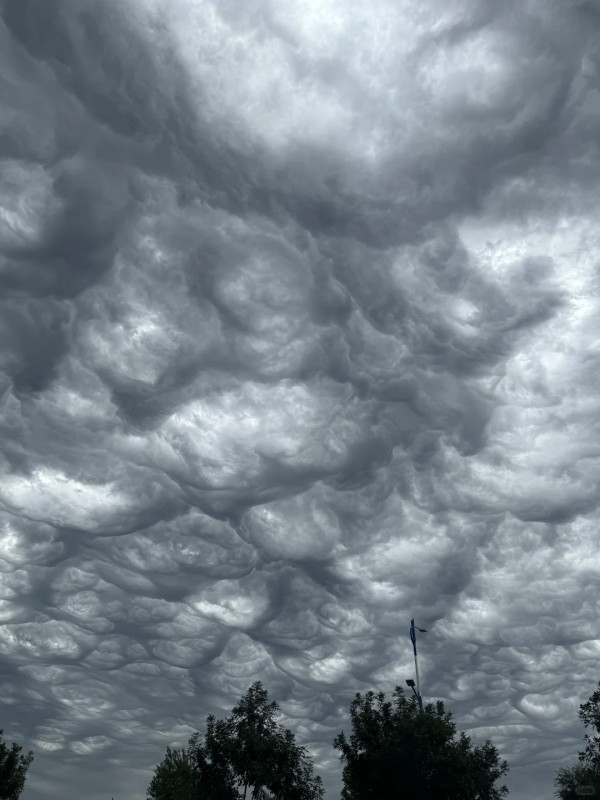 內地近月出現四大異象！詭異雲層、罕見大冰雹、青蛙大軍、萬鳥歸巢 
