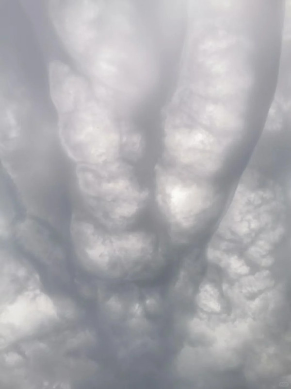 內地近月出現四大異象！詭異雲層、罕見大冰雹、青蛙大軍、萬鳥歸巢 