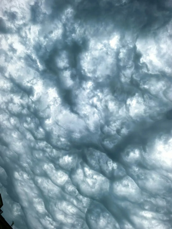 內地近月出現四大異象！詭異雲層、罕見大冰雹、青蛙大軍、萬鳥歸巢 