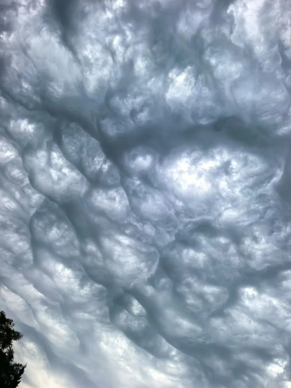 內地近月出現四大異象！詭異雲層、罕見大冰雹、青蛙大軍、萬鳥歸巢 